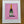 'Moet Champagne' (Available Instore ONLY - @manestylist)